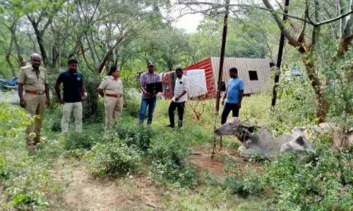 ಚಾಮರಾಜಗರ: ಕರ್ನಾಟಕದಿಂದ ತಮಿಳುನಾಡಿಗೆ ಜಾನುವಾರು ಸಾಗಾಟ; ಓರ್ವನ ಬಂಧನ