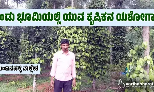 ತುಂಡು ಭೂಮಿಯಲ್ಲಿ ಯುವ ಕೃಷಿಕನ ಯಶೋಗಾಥೆ