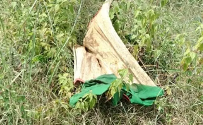 ಮೃತದೇಹ ಹೊರ ತೆಗೆದು ವಾಮಾಚಾರ ಮಾಡಿರುವ ಶಂಕೆ: ಪ್ರಕರಣ ದಾಖಲು ಮೃತದೇಹ ಹೊರ ತೆಗೆದು ವಾಮಾಚಾರ ಮಾಡಿರುವ ಶಂಕೆ: ಪ್ರಕರಣ ದಾಖಲು