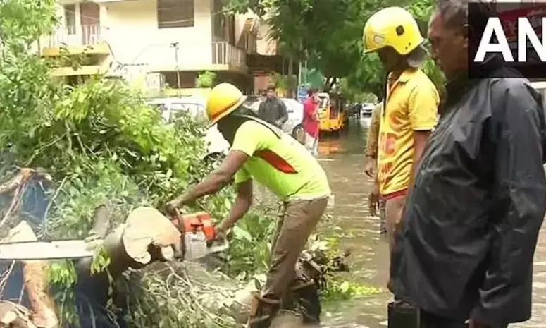 ತಮಿಳುನಾಡು: ಭಾರೀ ಮಳೆ , ವಿದ್ಯುತ್ ಆಘಾತದಿಂದ ಮೂವರು ಸಾವು