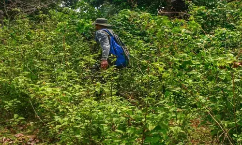 ದಾಂತೆವಾಡ: ನಕ್ಸಲರು ಇರಿಸಿದ್ದ ಐಇಡಿ ಸ್ಫೋಟ; ಇಬ್ಬರು CRPF ಯೋಧರಿಗೆ ಗಾಯ