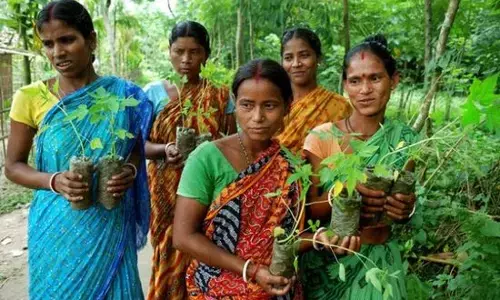 ದೇಶದ ಎಲ್ಲಾ ಹಳ್ಳಿಗಳಿಗೂ ಮಾದರಿಯಾದ ಪಿಪ್ಲಾಂತ್ರಿ