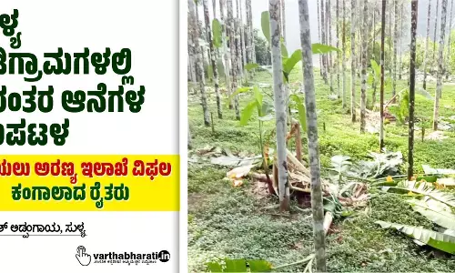 ಸುಳ್ಯ ಗಡಿಗ್ರಾಮಗಳಲ್ಲಿ ನಿರಂತರ ಆನೆಗಳ ಉಪಟಳ