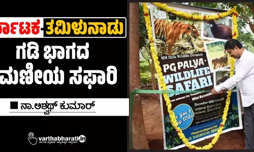 ಕರ್ನಾಟಕ-ತಮಿಳುನಾಡು ಗಡಿ ಭಾಗದ ರಮಣೀಯ ಸಫಾರಿ