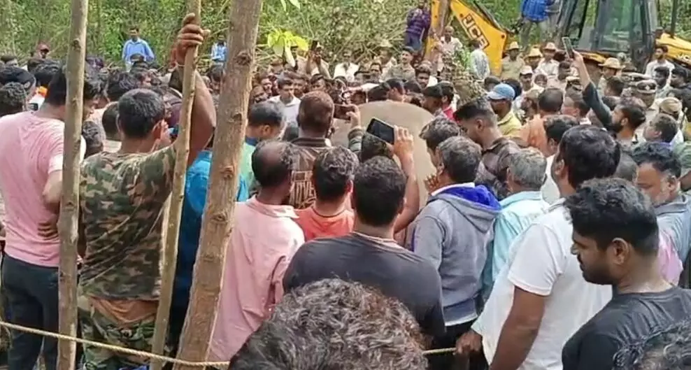 ಹಾಸನ: ಕಾಡಾನೆ ದಾಳಿಗೆ ಬಲಿಯಾದ ಅರ್ಜುನ ಆನೆಯ ಅಂತ್ಯಸಂಸ್ಕಾರ