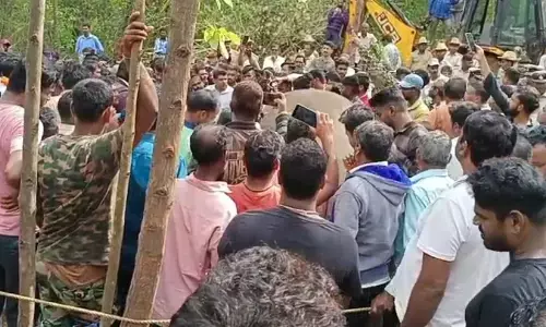 ಹಾಸನ: ಕಾಡಾನೆ ದಾಳಿಗೆ ಬಲಿಯಾದ ಅರ್ಜುನ ಆನೆಯ ಅಂತ್ಯಸಂಸ್ಕಾರ