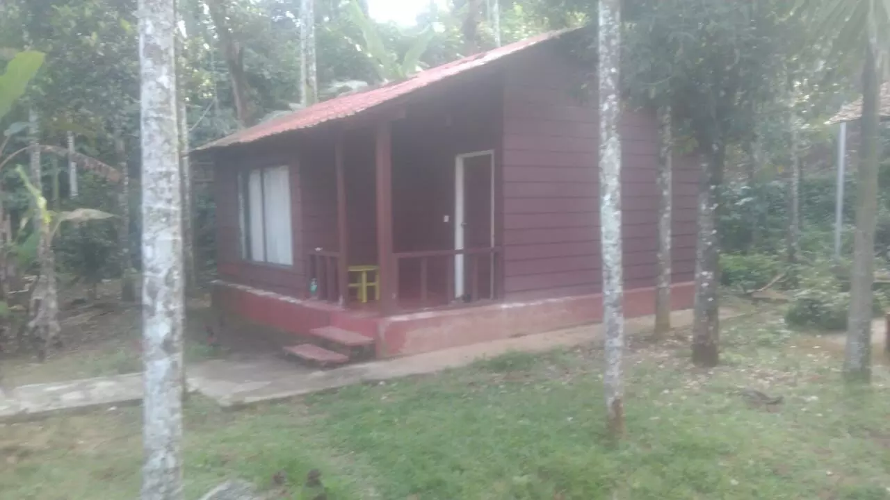 ಮಡಿಕೇರಿ: ರೆಸಾರ್ಟ್‍ನಲ್ಲಿ ಮಗು ಸೇರಿ ಮೂವರ ಮೃತದೇಹ ಪತ್ತೆ