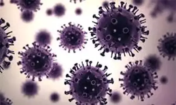 ಹಾಂಕಾಂಗ್ನಲ್ಲಿ ಹಂದಿಜ್ವರ ಉಲ್ಬಣ: 900 ಹಂದಿಗಳ ಹತ್ಯೆಗೆ ಸೂಚನೆ