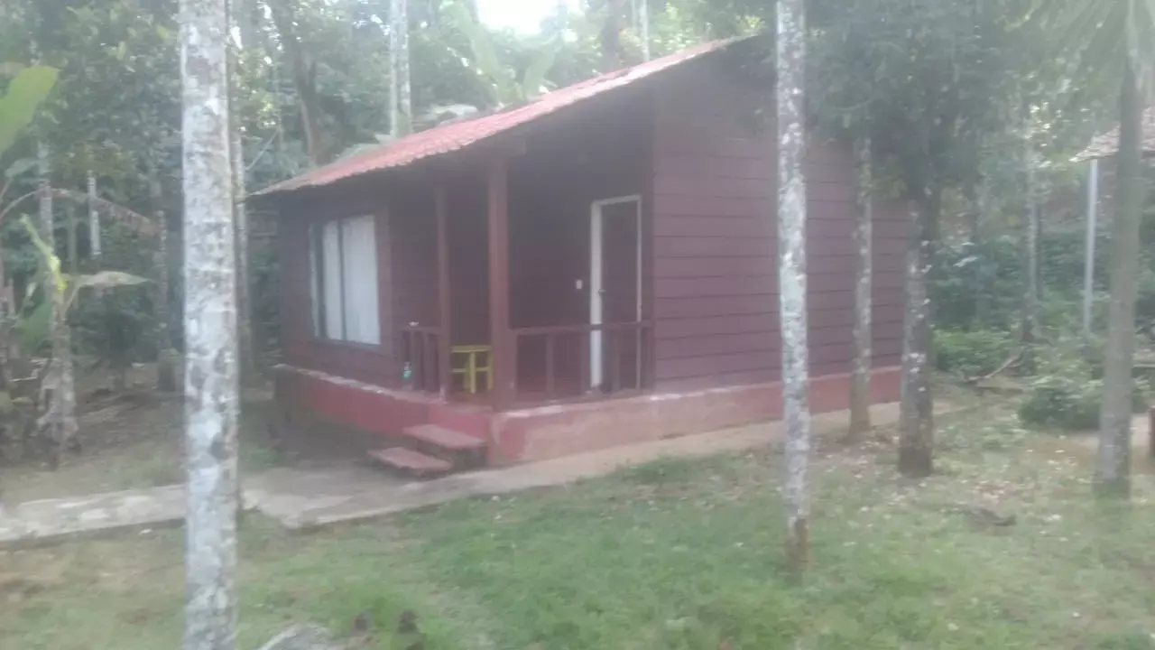 ಮಡಿಕೇರಿ: ರೆಸಾರ್ಟ್‍ನಲ್ಲಿ ಮಗು ಸೇರಿ ಮೂವರ ಮೃತದೇಹ ಪತ್ತೆ