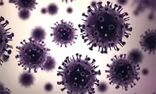 ಹಾಂಕಾಂಗ್ನಲ್ಲಿ ಹಂದಿಜ್ವರ ಉಲ್ಬಣ: 900 ಹಂದಿಗಳ ಹತ್ಯೆಗೆ ಸೂಚನೆ