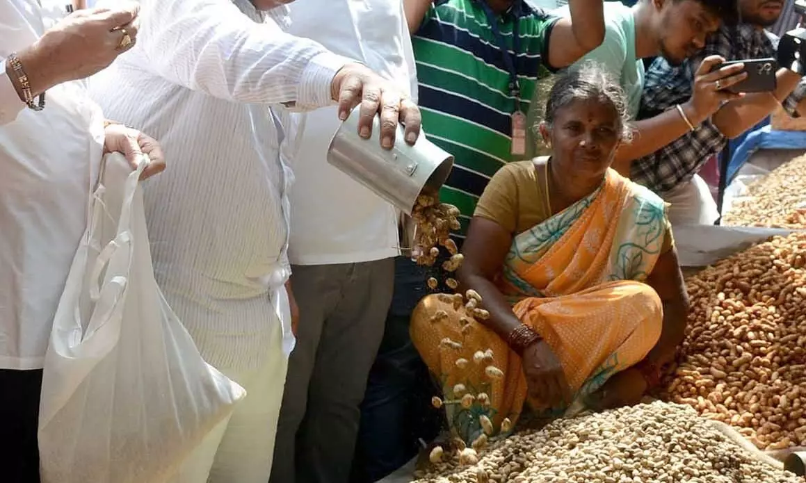 ಬೆಂಗಳೂರಿನ ಬಸವನಗುಡಿ ಕಡಲೆಕಾಯಿ ಪರಿಷೆ ನಾಳೆ ಸಿಎಂ ಸಿದ್ದರಾಮಯ್ಯರಿಂದ ಅಧಿಕೃತ ಉದ್ಘಾಟನೆ ಬೆಂಗಳೂರಿನ ಬಸವನಗುಡಿ ಕಡಲೆಕಾಯಿ ಪರಿಷೆ ನಾಳೆ ಸಿಎಂ ಸಿದ್ದರಾಮಯ್ಯರಿಂದ ಅಧಿಕೃತ ಉದ್ಘಾಟನೆ