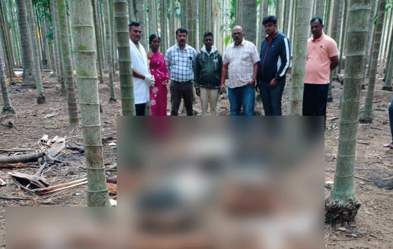 ಚಿಕ್ಕಮಗಳೂರು: ಚಿರತೆ ದಾಳಿಗೆ 31 ಕುರಿಗಳು ಸಾವು