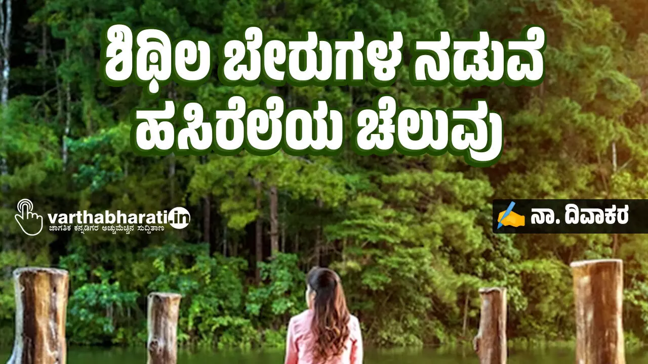 ಶಿಥಿಲ ಬೇರುಗಳ ನಡುವೆ ಹಸಿರೆಲೆಯ ಚೆಲುವು