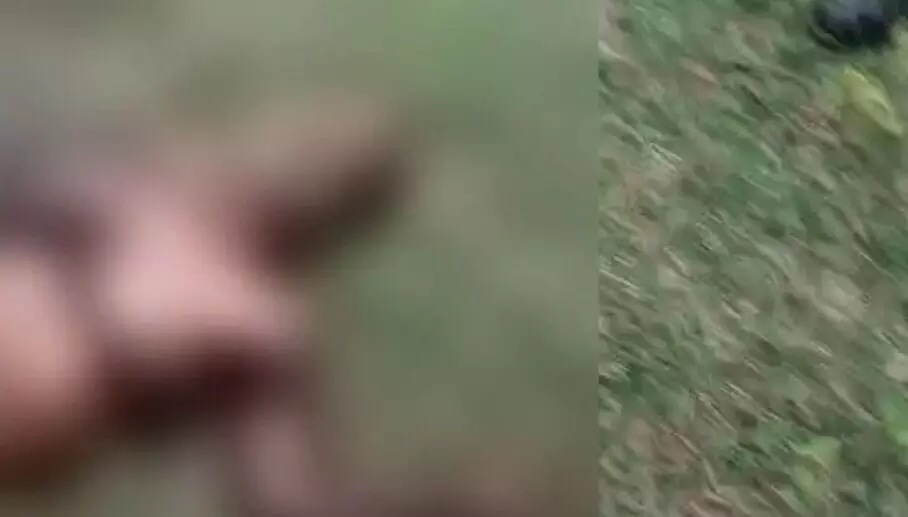 ಹಾಸನ| ಕಾಡು ಹಂದಿ ದಾಳಿಗೆ ರೈತ ಬಲಿ ಹಾಸನ| ಕಾಡು ಹಂದಿ ದಾಳಿಗೆ ರೈತ ಬಲಿ