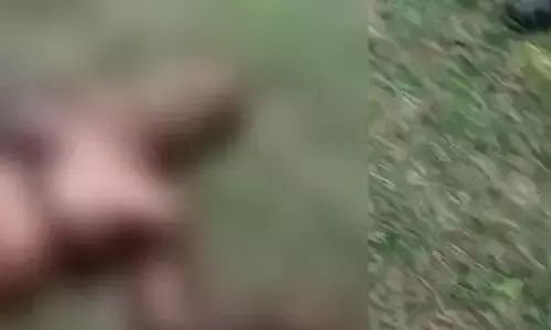 ಹಾಸನ| ಕಾಡು ಹಂದಿ ದಾಳಿಗೆ ರೈತ  ಬಲಿ