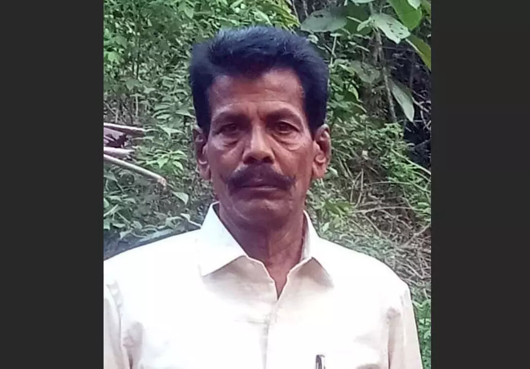 ಕುಂದಾಪುರ: ಹೆಜ್ಜೇನು ದಾಳಿಯಿಂದ ವ್ಯಕ್ತಿ ಮೃತ್ಯು