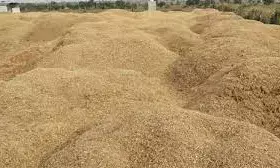 ಬಜ್ಪೆ: ಅಕ್ರಮ ಮರಳುಗಾರಿಕೆ ಆರೋಪ;  5 ದೋಣಿ ವಶಕ್ಕೆ