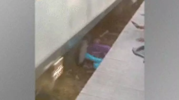 ತನ್ನ ಮೇಲೆ ರೈಲು ಹರಿದರೂ ಮಕ್ಕಳಿಗೆ ಆಸರೆಯಾದ ಮಹಾತಾಯಿ! ತನ್ನ ಮೇಲೆ ರೈಲು ಹರಿದರೂ ಮಕ್ಕಳಿಗೆ ಆಸರೆಯಾದ ಮಹಾತಾಯಿ!