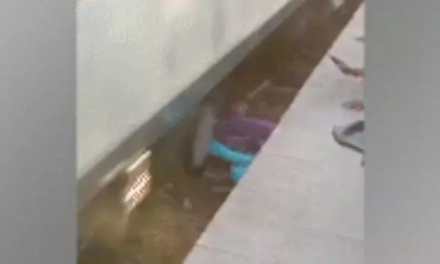 ತನ್ನ ಮೇಲೆ ರೈಲು ಹರಿದರೂ ಮಕ್ಕಳಿಗೆ ಆಸರೆಯಾದ ಮಹಾತಾಯಿ!