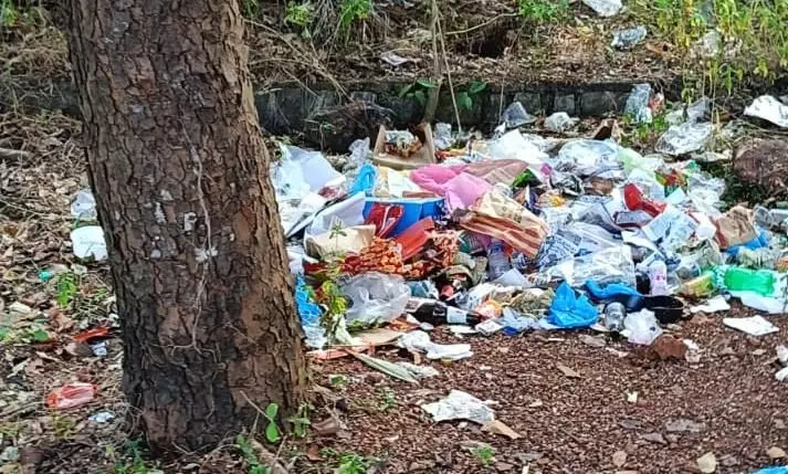 ಉಡುಪಿ: ಮಣ್ಪಾಲ್ ಕೆರೆ ಶುಚಿತ್ವ ಕಾಪಾಡಲು ಉಡುಪಿ ಜಿಲ್ಲಾಧಿಕಾರಿಗೆ ಮನವಿ ಉಡುಪಿ: ಮಣ್ಪಾಲ್ ಕೆರೆ ಶುಚಿತ್ವ ಕಾಪಾಡಲು ಉಡುಪಿ ಜಿಲ್ಲಾಧಿಕಾರಿಗೆ ಮನವಿ