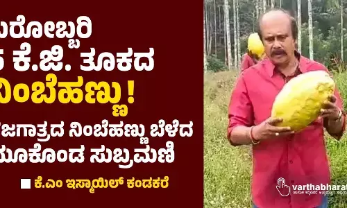 ಬರೋಬ್ಬರಿ 5 ಕೆ.ಜಿ. ತೂಕದ ನಿಂಬೆಹಣ್ಣು!