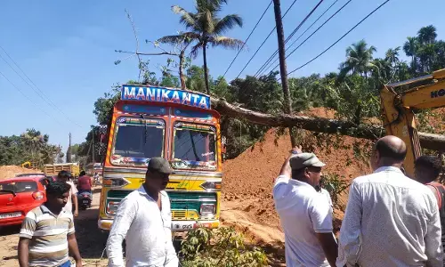 ಉಪ್ಪಿನಂಗಡಿ | ರಸ್ತೆ ಕಾಮಗಾರಿ ವೇಳೆ ಅವಾಂತರ: ವಿದ್ಯುತ್ ತಂತಿ ಮತ್ತು ಚಲಿಸುತ್ತಿದ್ದ ಲಾರಿ ಮೇಲೆ ಬಿದ್ದ ಮರ