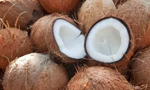 ದಕ್ಷಿಣ ಭಾರತದ ರೈತರ ಓಲೈಕೆಗೆ ಮುಂದಾದ ಸರಕಾರ: ಕೊಬ್ಬರಿಯ ಎಂಎಸ್ಪಿ ಹೆಚ್ಚಳ