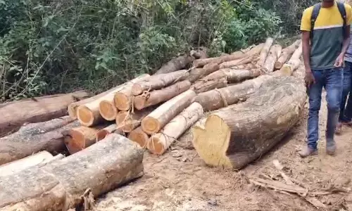 ಸರ್ಕಾರಿ ಗೋಮಾಳದಲ್ಲಿ ಅಕ್ರಮವಾಗಿ ಮರ ಕಡಿತಲೆ ಪ್ರಕರಣ ; ಹಾಸನ ವಿಭಾಗದ ಉಪ ಅರಣ್ಯ ಸಂರಕ್ಷಣಾಧಿಕಾರಿ ಸೇರಿದಂತೆ, ನಾಲ್ವರ ಅಮಾನತು