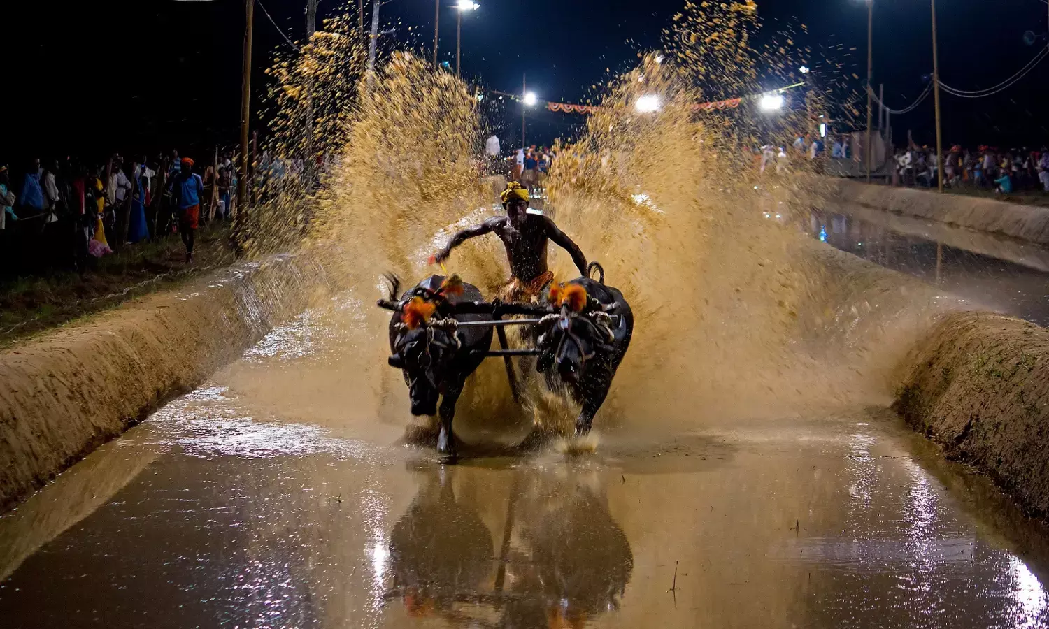 ಜ. 6 ರಂದು ಮಿಯ್ಯಾರು ಲವ ಕುಶ ಜೋಡುಕರೆ ಕಂಬಳ