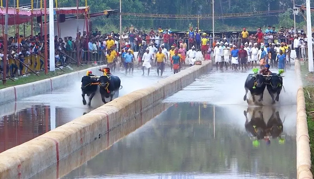 ಬಂಗ್ರಕೂಳೂರು ರಾಮ - ಲಕ್ಷ್ಮಣ ಜೋಡುಕರೆ ಕಂಬಳ ಕೂಟದ ಫಲಿತಾಂಶ ಬಂಗ್ರಕೂಳೂರು ರಾಮ - ಲಕ್ಷ್ಮಣ ಜೋಡುಕರೆ ಕಂಬಳ ಕೂಟದ ಫಲಿತಾಂಶ