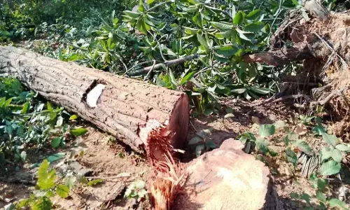 ಆದಿವಾಸಿ ಪ್ರದೇಶಗಳಲ್ಲಿ ಕಲ್ಲಿದ್ದಲು ಗಣಿಗಾರಿಕೆ ಪುನಾರಂಭಿಸಿದ ಛತ್ತೀಸ್ ಗಢದ ನೂತನ ಬಿಜೆಪಿ ಸರ್ಕಾರ!