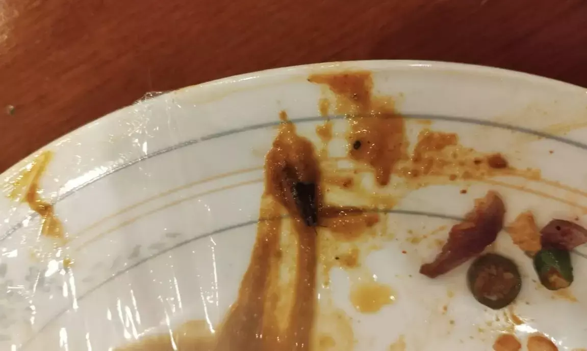 ಬೆಂಗಳೂರು| ಪ್ರತಿಷ್ಠಿತ ಹೋಟೆಲ್ ನ ಊಟದಲ್ಲಿ ಜಿರಳೆ ಪತ್ತೆ ಆರೋಪ: ಪ್ರಕರಣ ದಾಖಲು