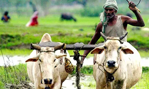 ಹವಾಮಾನ ಬದಲಾವಣೆ ರಾಜ್ಯ ಕ್ರಿಯಾ ಯೋಜನೆ- ಎಂಪ್ರಿ ವರದಿಯ ವೈರುಧ್ಯಗಳು