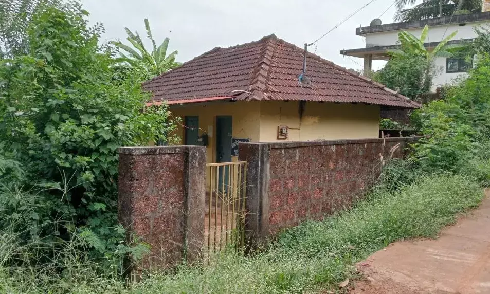 34ನೆಕ್ಕಿಲಾಡಿ: ಅಂಗನವಾಡಿಯನ್ನು ಆವರಿಸಿರುವ ಗಿಡ-ಗಂಟಿ; ಪುಟಾಣಿ ಮಕ್ಕಳಿಗೆ ಹಾವು- ಚೇಳುಗಳ ಭೀತಿ