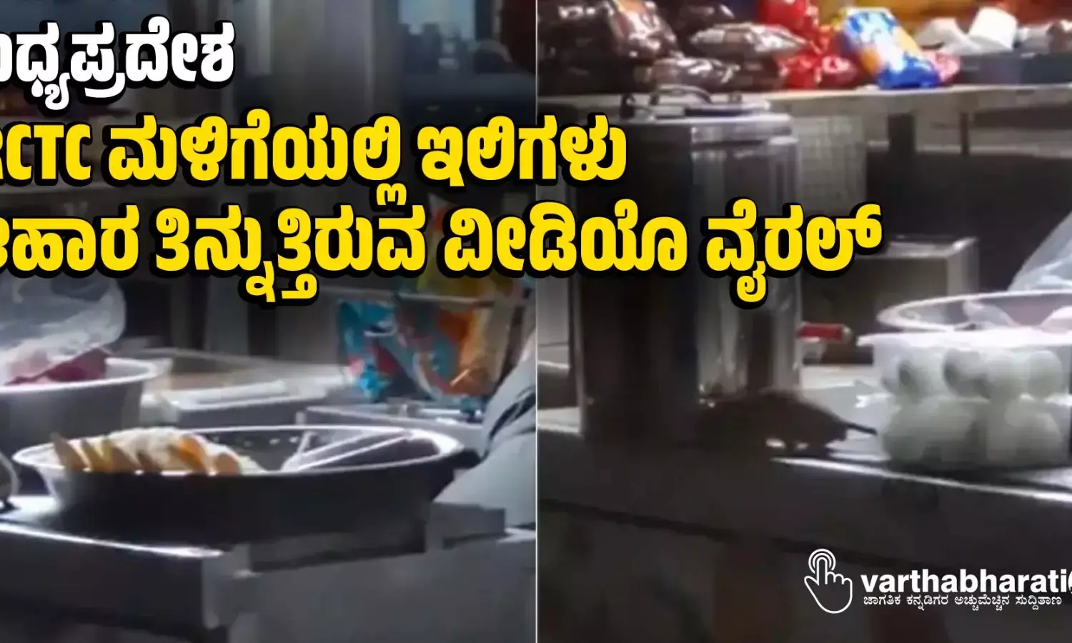 ಮಧ್ಯಪ್ರದೇಶ: ಐ ಆರ್ ಸಿ ಟಿ ಸಿ ಮಳಿಗೆಯಲ್ಲಿ ಇಲಿಗಳು ಆಹಾರ ತಿನ್ನುತ್ತಿರುವ ವೀಡಿಯೊ ವೈರಲ್