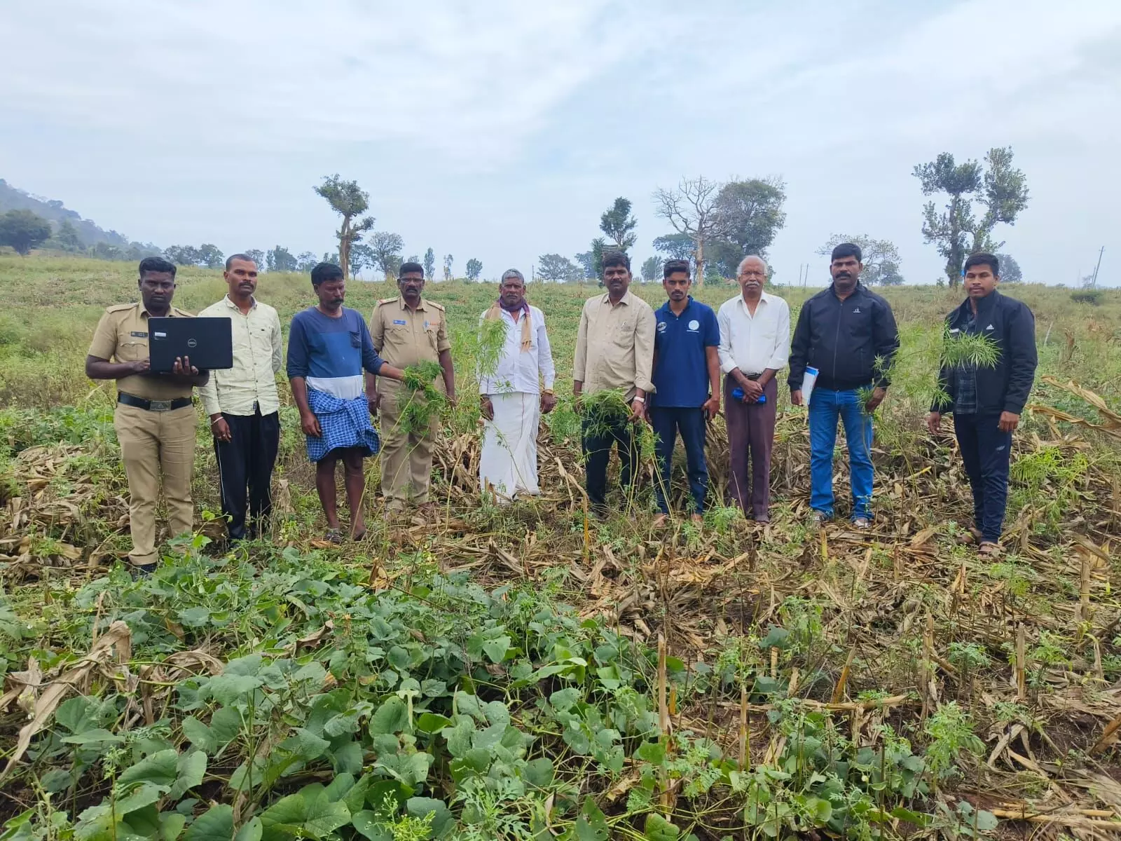 ಹನೂರು| ಅಕ್ರಮವಾಗಿ ಗಾಂಜಾ ಗಿಡಗಳನ್ನು ಬೆಳೆದಿದ್ದ ಆರೋಪ: ಓರ್ವ ಬಂಧನ ಹನೂರು| ಅಕ್ರಮವಾಗಿ ಗಾಂಜಾ ಗಿಡಗಳನ್ನು ಬೆಳೆದಿದ್ದ ಆರೋಪ: ಓರ್ವ ಬಂಧನ