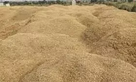 ಮಣಿಪಾಲ| ಅಕ್ರಮ ಮರಳುಗಾರಿಕೆ: ಸೊತ್ತು ಸಹಿತ ಇಬ್ಬರು ವಶಕ್ಕೆ