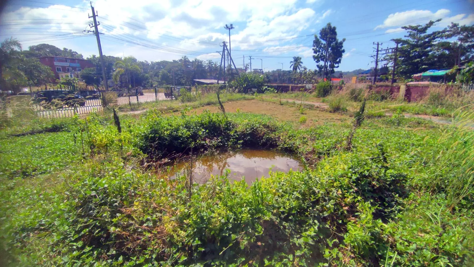 ನಳನಳಿಸಬೇಕಾಗಿದ್ದಉದ್ಯಾನವನ ಹಾಳುಕೊಂಪೆ