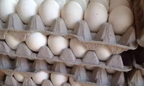 12 ಮೊಟ್ಟೆಗೆ 400 ರೂಪಾಯಿ: ಪಾಕಿಸ್ತಾನದಲ್ಲಿ ಮತ್ತೆ ಆರ್ಥಿಕ ಬಿಕ್ಕಟ್ಟು