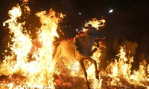 PHOTOS| ಸಂಕ್ರಾಂತಿ ಸಂಭ್ರಮ :  ಬೆಂಗಳೂರಿನ ಮಂಗನಹಳ್ಳಿಯಲ್ಲಿ ಸಂಕ್ರಾಂತಿ ಅಂಗವಾಗಿ ಎತ್ತುಗಳನ್ನು ಕಿಚ್ಚು ಹಾಯಿಸಿದ ಕ್ಷಣ…