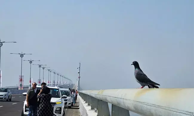 “ಅಟಲ್‌ ಸೇತು ಪಿಕ್ನಿಕ್‌ ಸ್ಥಳವಲ್ಲ; ಸೆಲ್ಫೀ, ಫೋಟೋ ಕ್ಲಿಕ್ಕಿಸಲು ವಾಹನ ನಿಲ್ಲಿಸಿದರೆ ಎಫ್‌ಐಆರ್”‌: ಮುಂಬೈ ಪೊಲೀಸರ ಎಚ್ಚರಿಕೆ