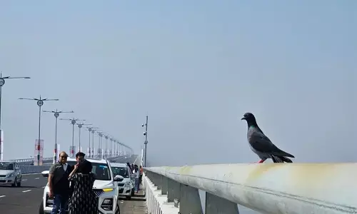 “ಅಟಲ್‌ ಸೇತು ಪಿಕ್ನಿಕ್‌ ಸ್ಥಳವಲ್ಲ; ಸೆಲ್ಫೀ, ಫೋಟೋ ಕ್ಲಿಕ್ಕಿಸಲು ವಾಹನ ನಿಲ್ಲಿಸಿದರೆ ಎಫ್‌ಐಆರ್”‌: ಮುಂಬೈ ಪೊಲೀಸರ ಎಚ್ಚರಿಕೆ