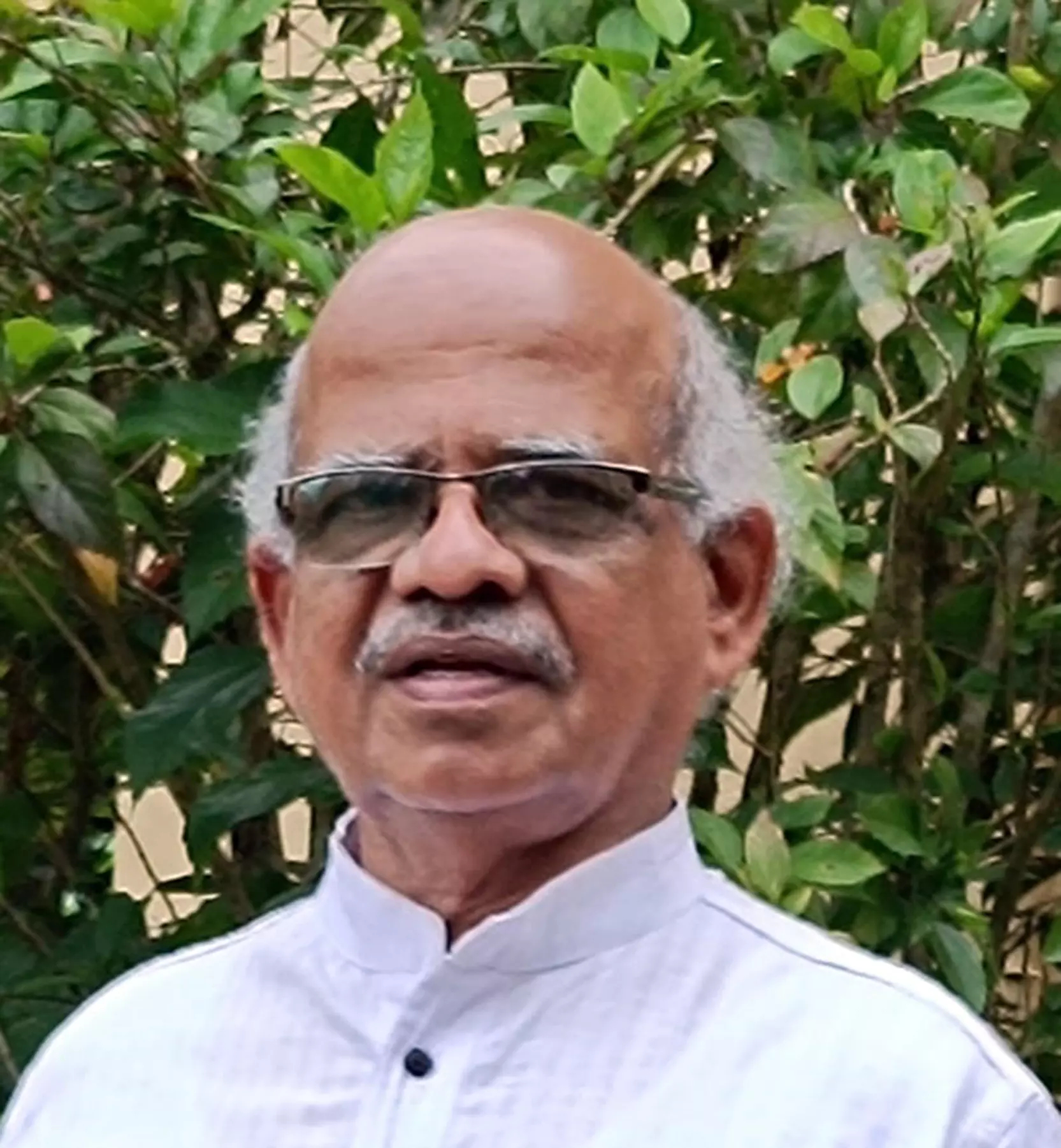 ಡಾ. ಚಂದ್ರಶೇಖರ ದಾಮ್ಲೆ, ಸುಳ್ಯ