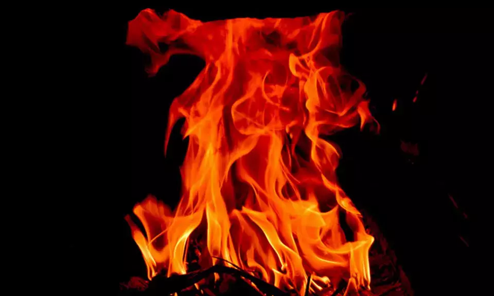 ದಿಲ್ಲಿ: ಬಹುಮಹಡಿ ಕಟ್ಟಡದಲ್ಲಿ ಅಗ್ನಿ ಅವಘಡ; 6 ಮಂದಿ ಬಲಿ