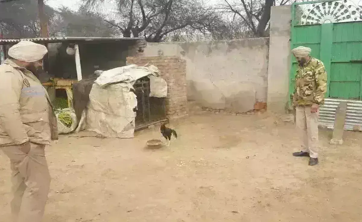 ಪಂಜಾಬ್‌ನಲ್ಲಿ ಕೋಳಿಗೆ ಪೊಲೀಸ್‌ ಭದ್ರತೆ!