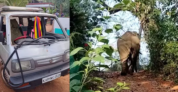 ಸುಳ್ಯ: ಪೆರಾಜೆ - ಬಿಳಿಯಾರಿನಲ್ಲಿ ಕಾಡಾನೆ ಸಂಚಾರ; ಕಾರಿಗೆ ಹಾನಿ ಸುಳ್ಯ: ಪೆರಾಜೆ - ಬಿಳಿಯಾರಿನಲ್ಲಿ ಕಾಡಾನೆ ಸಂಚಾರ; ಕಾರಿಗೆ ಹಾನಿ