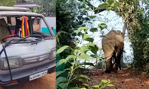 ಸುಳ್ಯ: ಪೆರಾಜೆ - ಬಿಳಿಯಾರಿನಲ್ಲಿ ಕಾಡಾನೆ ಸಂಚಾರ; ಕಾರಿಗೆ ಹಾನಿ