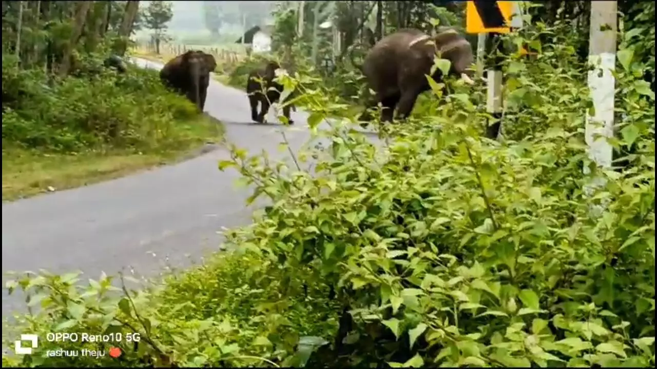 ಅಂಬಳೆ ಹೋಬಳಿ ವ್ಯಾಪ್ತಿಯ ಗ್ರಾಮಗಳಲ್ಲಿ ನಿಷೇಧಾಜ್ಞೆ ಜಾರಿ : ಶಾಲಾ ಕಾಲೇಜುಗಳಿಗೆ ರಜೆ ಘೋಷಣೆ ಅಂಬಳೆ ಹೋಬಳಿ ವ್ಯಾಪ್ತಿಯ ಗ್ರಾಮಗಳಲ್ಲಿ ನಿಷೇಧಾಜ್ಞೆ ಜಾರಿ : ಶಾಲಾ ಕಾಲೇಜುಗಳಿಗೆ ರಜೆ ಘೋಷಣೆ
