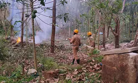 ಪಟಾಕಿ ಅಗ್ನಿ ಅನಾಹುತ ತಪ್ಪಿಸಲು ಸಮಿತಿ ರಚನೆ