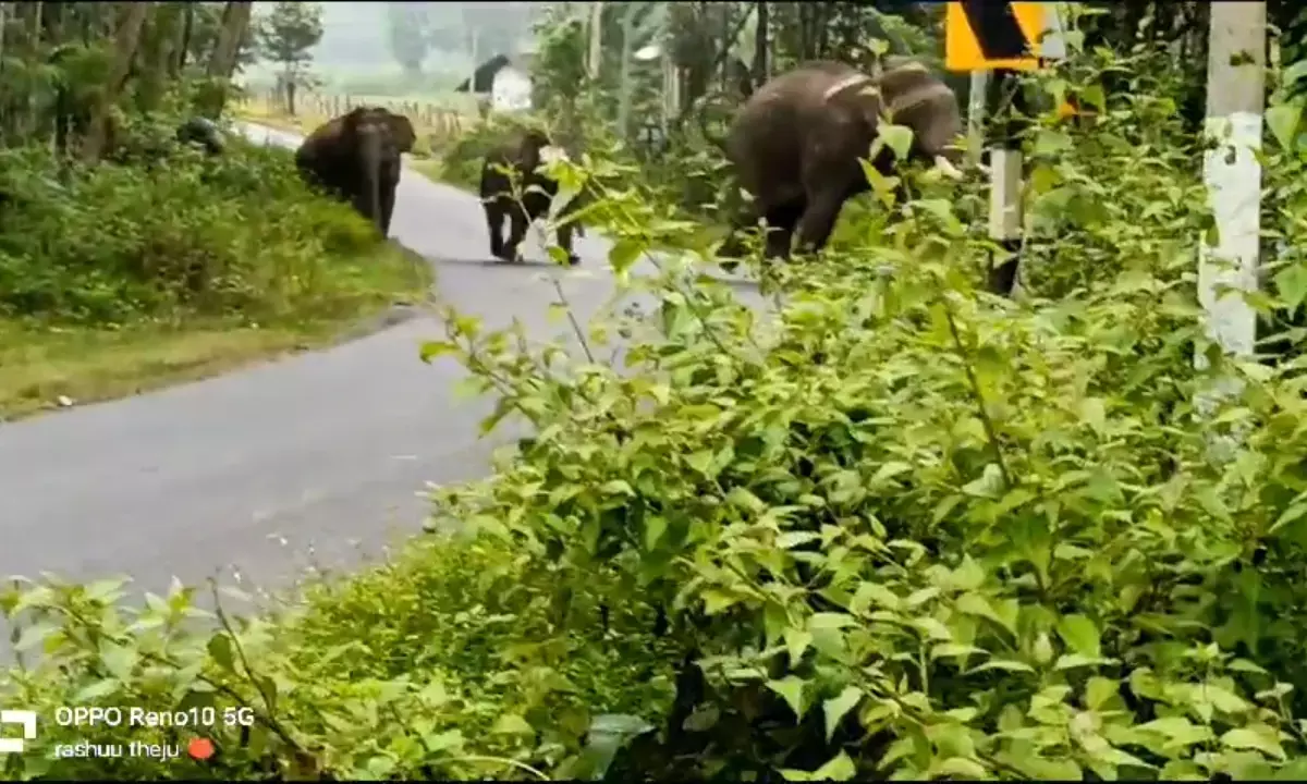 ಅಂಬಳೆ ಹೋಬಳಿ ವ್ಯಾಪ್ತಿಯ ಗ್ರಾಮಗಳಲ್ಲಿ ನಿಷೇಧಾಜ್ಞೆ ಜಾರಿ : ಶಾಲಾ ಕಾಲೇಜುಗಳಿಗೆ ರಜೆ ಘೋಷಣೆ